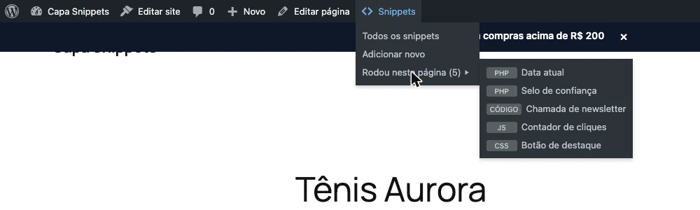 Menu da barra de administração mostrando os snippets que rodaram na página atual